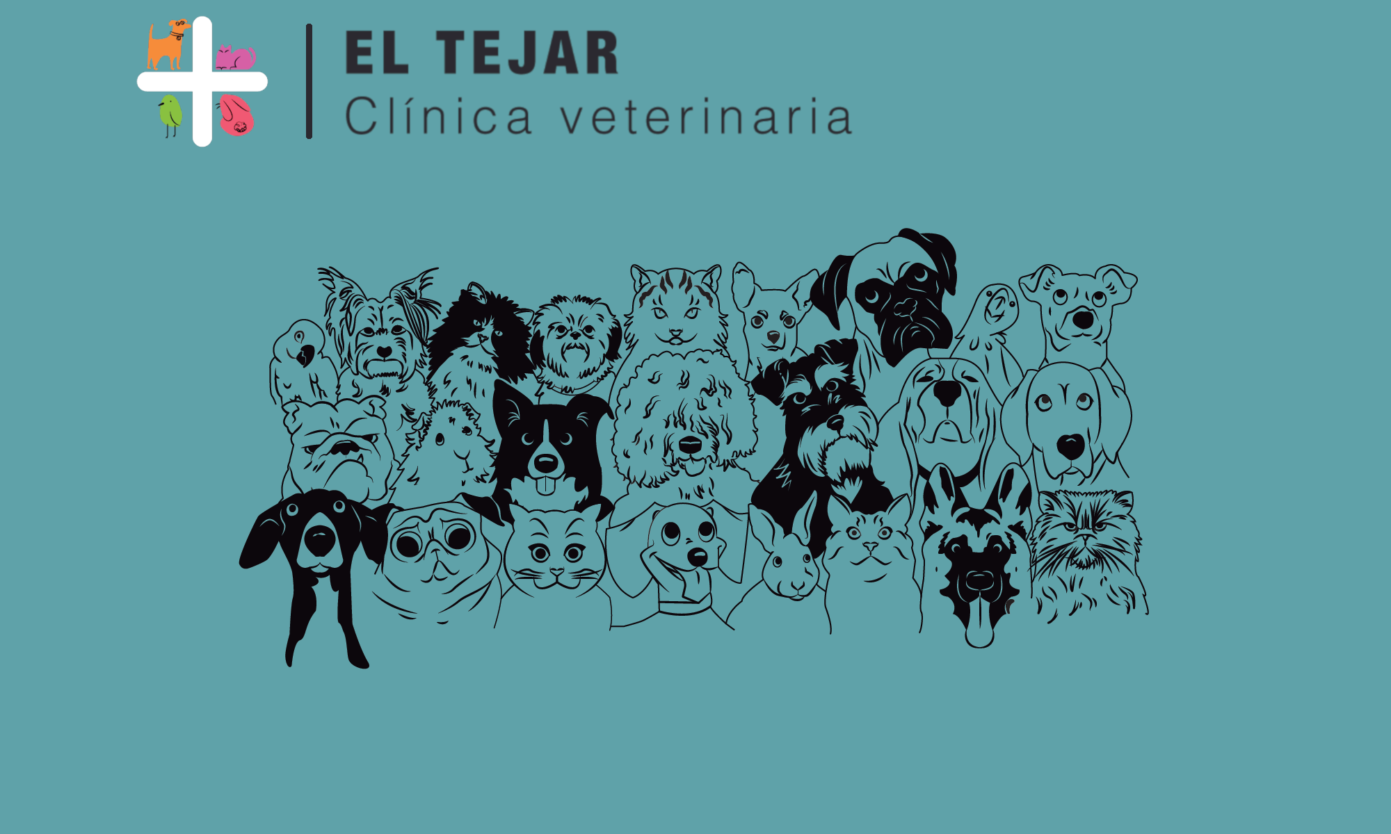 Clinica Veterinaria El Tejar